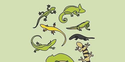 Meet the Reptiles
