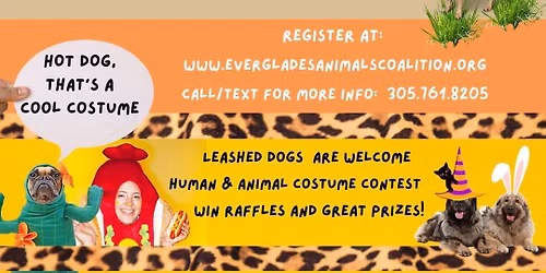 Get Wild! a FuN RuN\/WaLk for rescued animals