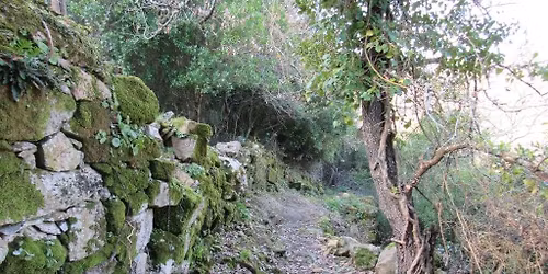 Caminhando em Bosques do Sobral