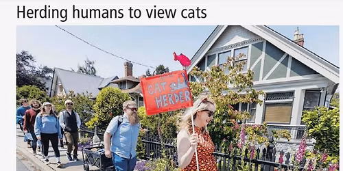 Fernwood Cat Walk