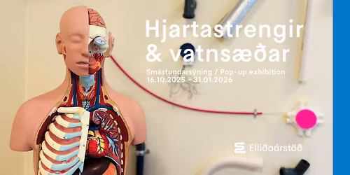 Hjartastrengir & vatns\u00e6\u00f0ar 16. okt\u00f3ber - 31. jan\u00faar