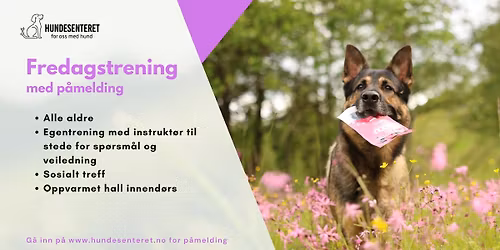 Fredagstrening (ledige plasser)