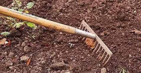 Putting the Garden to Bed Workshop at Wanskuck Library
