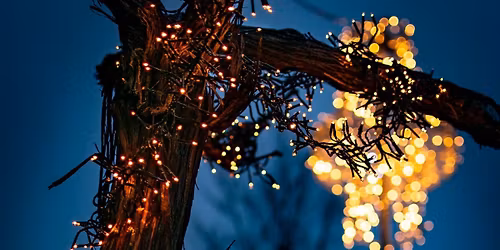 Lighting of Christmas Lights at Vesterbros Torv