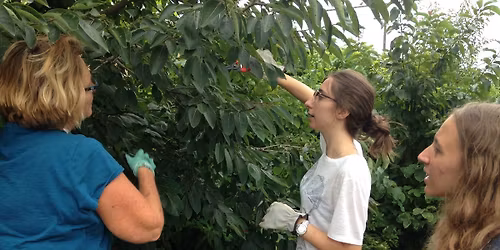 Summer Pruning Workshop