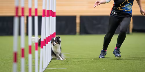 P\u00e1te\u010dn\u00ed intenzivka s Eli Kaletovou