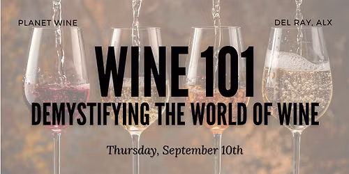 Wine 101: Demystifying the World of Wine