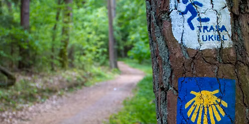 Gietrzwa\u0142d \ud83d\udc63 weekendowy test Camino Polaco