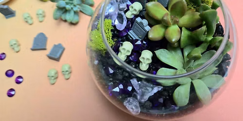 Halloween Terrariums \u2013 Spooky Succulent Workshop
