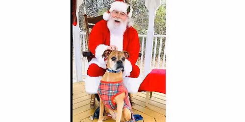 Dog Photos with Santa