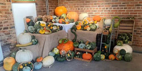 Kirkleatham Flower and Produce Show 