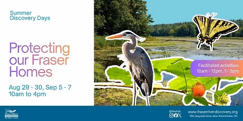 Summer Discovery Days: Protecting our Fraser Homes (Aug)
