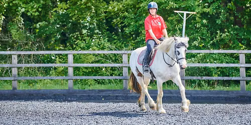 Christmas Showjumping Event