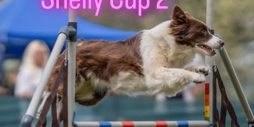 Shelly Cup 2\/3