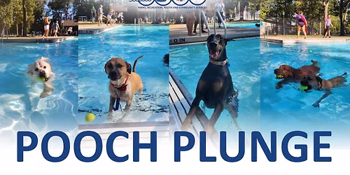 15th Annual Pooch Plunge