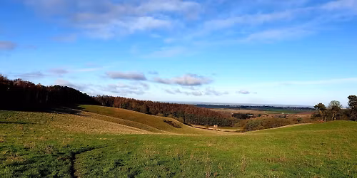 Run with SHORTY, Hints, Tamworth B78 3DF.