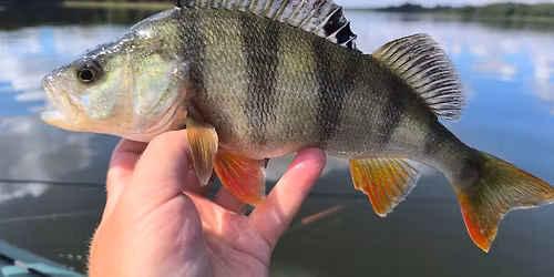 III Otwarte Zawody o Puchar Stra\u017cy ko\u0142a nr 5 Jezioro Kusowo + 2 tura Mistrzostw Ko\u0142a 5