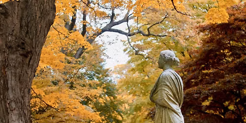 Nature and Mount Auburn