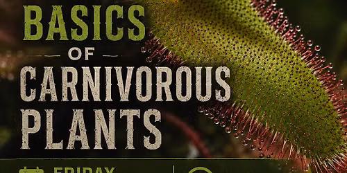 Rapacious Dews presents The Basics of Carnivorous Plants