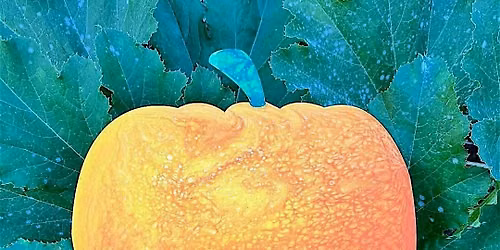 Pumpkin Paint Pouring Art Class | Grace Noel Art