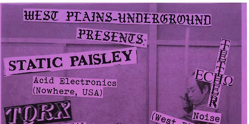 Static Paisley, TQRX, Echo Tether, Faulter, Duck and Forest Of Torment Live at The Yellow House