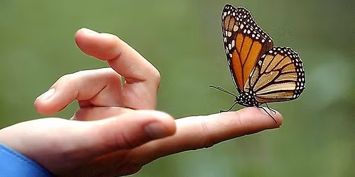 18th Annual Butterfly & Dove Release