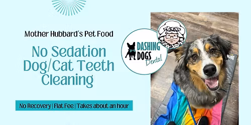 Pet Teeth Cleaning Event - White Rock - Mother Hubbard Pet