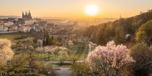 Tagestour nach Prag ab Dresden
