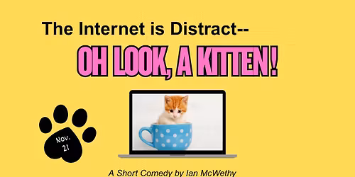 The Internet is Distract -- Oh Look, A Kitten!