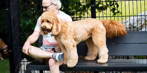 Charlotte Doodle Meetup