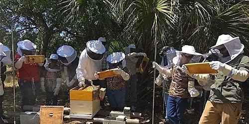 Intro to Beekeeping | Become a Beekeeper 2-day Hands-On Workshop