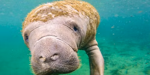 7 Sisters Springs Adventure 