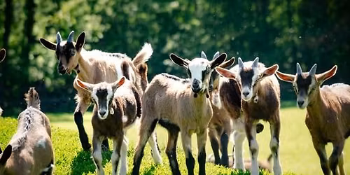 Jest Alternatywa! Dni Agroekologii w gospodarstwie Koz\u0142onoga