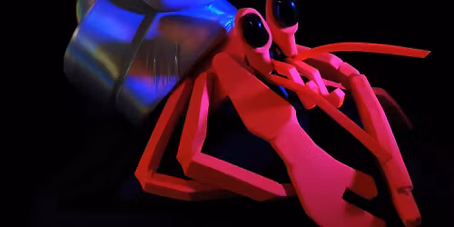 MARC DE BLANCHARD - \u00ab COQUILLE DIAMANT \u00bb - QUAI M