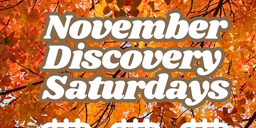 November Discovery Saturdays