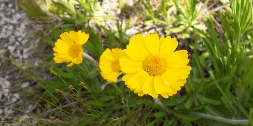 Wildlife Conservation Day