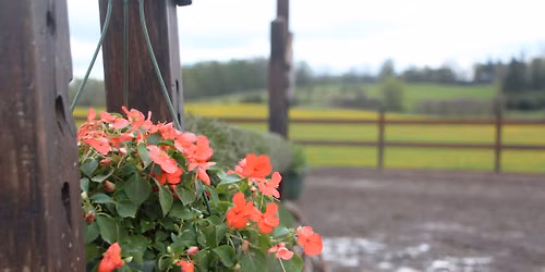 Summer in Fenner - June