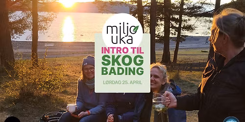 Intro til skogbading \/ Milj\u00f8uka 2026
