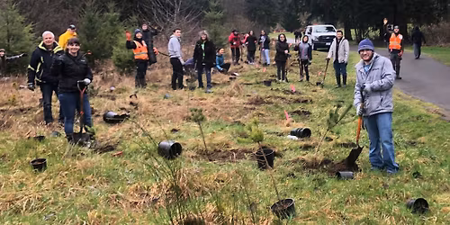 Habitat Enhancement\/Restoration