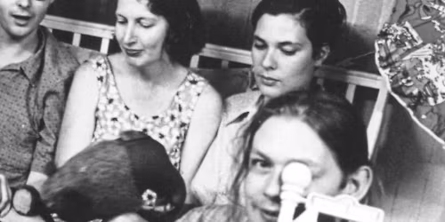 Stereolab in Wellington