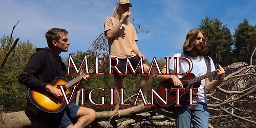 Mermaid Vigilante