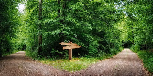 Coaching testk\u00f6zelb\u0151l - A GordonTA Coach K\u00e9pz\u0151 Akad\u00e9mi\u00e1j\u00e1nak betekint\u0151 alkalma (ICF-Level 1)