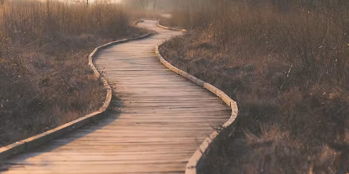 ICF akkredit\u00e1lt (Level 1) Coach K\u00e9pz\u0151 Akad\u00e9mia Ny\u00edlt nap