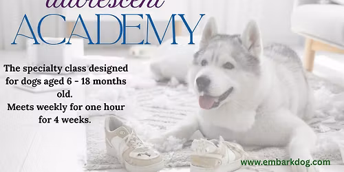 Adolescent Academy