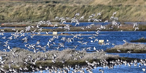 Guided Walk - EWT Two Tree Island