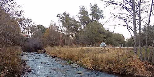 Secret Ravine Adopt-a-Creek  Clean Up Event-- Sept 12, 2026