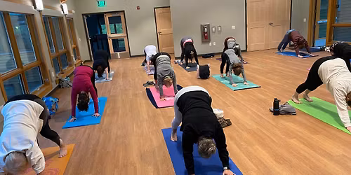 Foundational Yoga - Winter Session