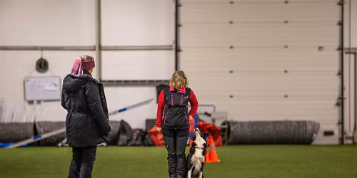 Sõnakuulelikkuse võistlus