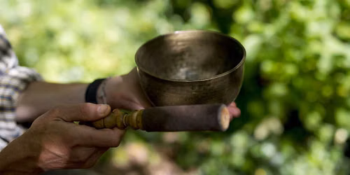 Train in nature-based mindfulness at Sharpham