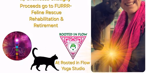 Thanksgiving Day Kitty Rescue Donation Yoga